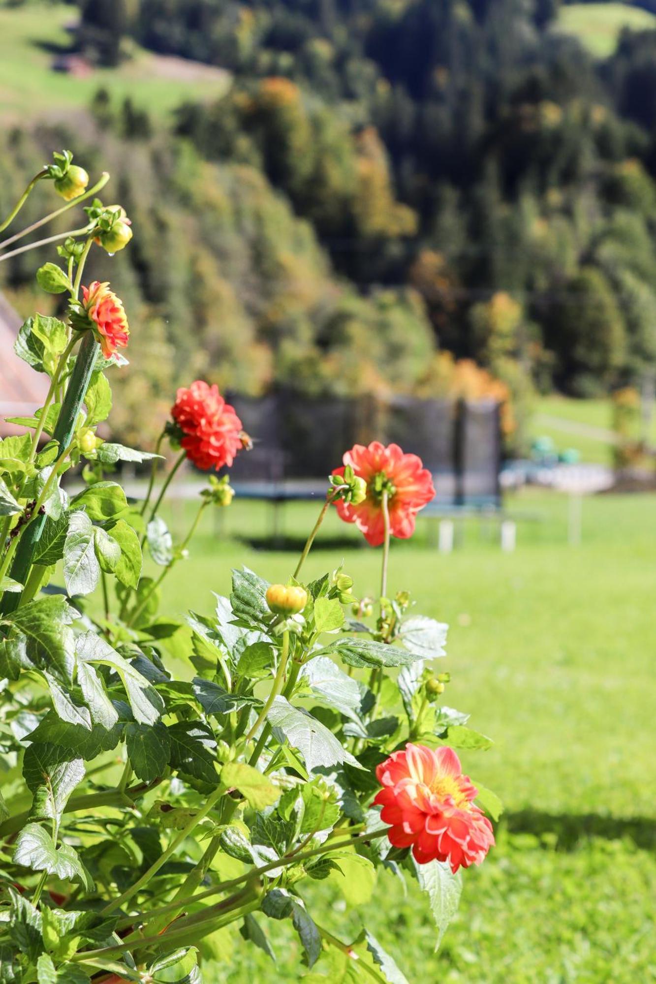 Apartment Vordermitterast Kirchberg in Tirol Kültér fotó